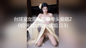 台球室女厕固定摄像头偷窥20位来嘘嘘的小姐姐 (13)