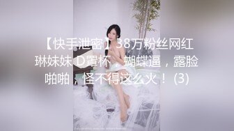 ★☆稀缺资源☆★推特30万粉母狗【Ella小骚狐】野外露出 调教 多P付费订阅 (10)