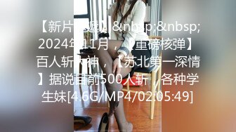 麻豆传媒 Pussy Hunter PS017 激情3P黑丝巨乳家政妇