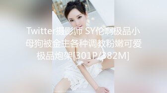 Twitter摄影师 SY伦啊极品小母狗被金主各种调教粉嫩可爱极品炮架[301P/382M]