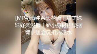 【新片速遞】&nbsp;&nbsp;高档酒店女厕全景偷拍❤️高颜值肉丝美少妇肥美的大鲍鱼[353M/MP4/04:49]