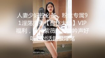 后入骚逼母狗