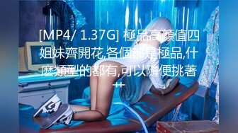 [MP4/ 1.37G] 極品高顔值四姐妹齊開花,各個都是極品,什麽類型的都有,可以隨便挑著艹