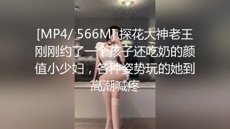 [MP4/1030M]12/28最新 身材一级棒的大长腿翘臀夜店DJ女神VIP1196