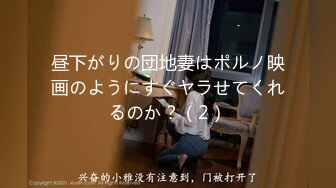 昼下がりの団地妻はポルノ映画のようにすぐヤラせてくれるのか？（2）