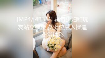 [MP4/ 433M] 骚气少妇和玩友站立被操 女上位后入操逼非常精彩