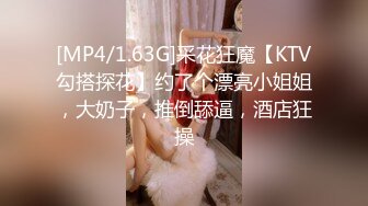 [MP4/1.63G]采花狂魔【KTV勾搭探花】约了个漂亮小姐姐，大奶子，推倒舔逼，酒店狂操