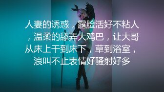 武汉Solo系列他和他的那些花儿们