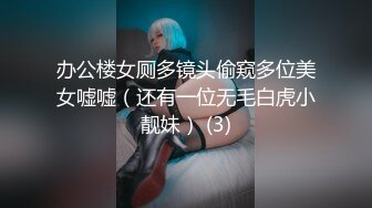 办公楼女厕多镜头偷窥多位美女嘘嘘（还有一位无毛白虎小靓妹） (3)