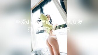 淫爱diary 与碎花裙巨乳女友插入自摸淫叫对白