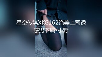 星空传媒XKG162绝美上司诱惑男下属-小野