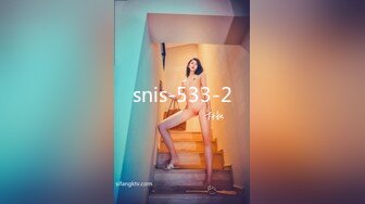 snis-533-2