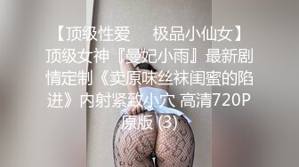 【淫乱女奴重磅核弹】性爱调教天花板『BM大官人』最强私拍花样调教 激操3P露出做爱 飞镖插B (2)