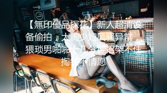 極品女模特唯美誘惑 (高清寫真視頻)