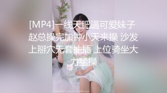 最新顶级高端精品大片第十三部-170cm大长腿高跟女模第二弹