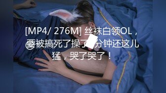 [MP4/1.1G]王教練調教人妻可兒公廁口交酒店撕裂黑絲怒肏口爆／Babble美乳韻味騷婦車內自慰後入抽插 720p